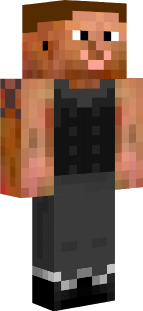 Preview of texture: paul