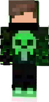 skin rig