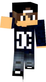 skin minecraft