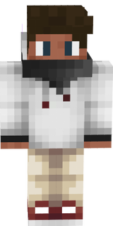 skin minecraft