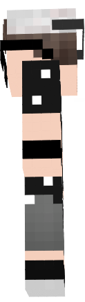 Preview of texture: Swag