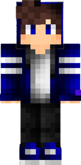 minecarft picture