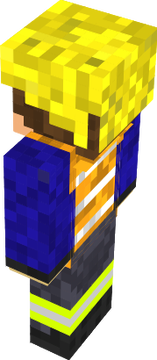 fgsfsw