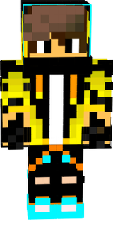 Skin