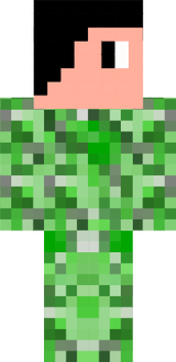 22020skin