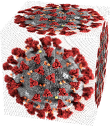 Coronavirus Block