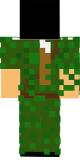 spinner camoflage 1