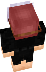 MySkin