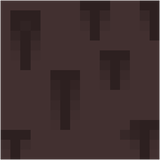 Acacia Log