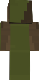 unkown camo