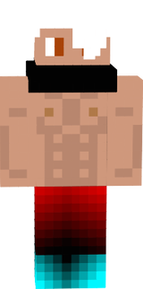 Ludovideo
