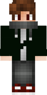 Skin Agera