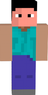Steve Ninja