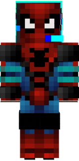 spider bitkc