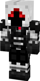 entity 303