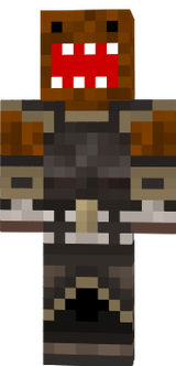 skin