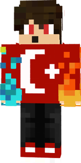 fsfs