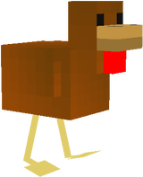 Duck