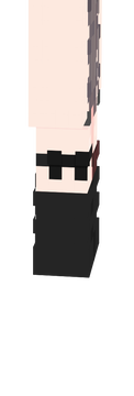 Sus demon girl
