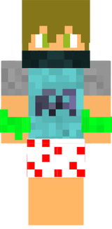 dgsga