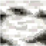 birch_log