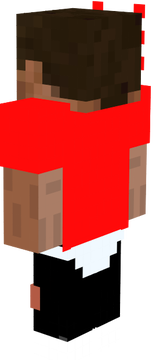 skin minecraft