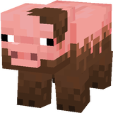muddy pig