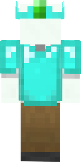 mcskin1
