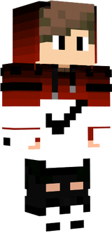 skin 2