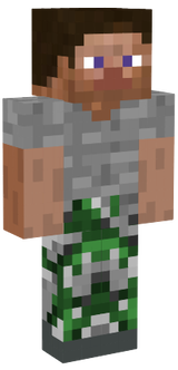 stejvie