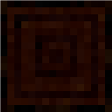 dark_oak_log_top