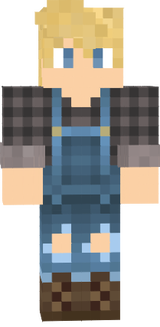 Minecraft Skin_ Bauernjunge