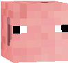 pig block