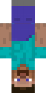reverse steve
