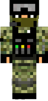 Rata topo