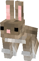 Cute Bunny