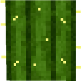 cactus_side
