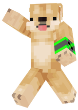 Doge