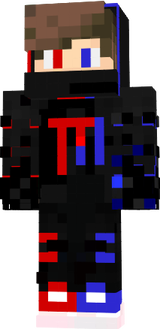 skin principal