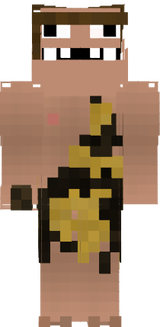 Steini