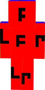 Skin Format
