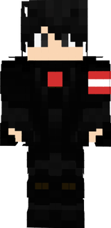 skin