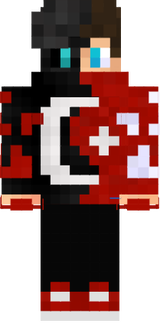 mc skin