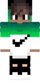 lafa_gamer