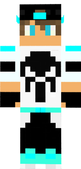 puin ç