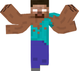 Player 100110010100111
