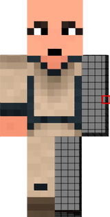 dunedain