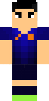 Robin Van Persie