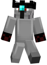 Skin 2
