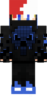 skin